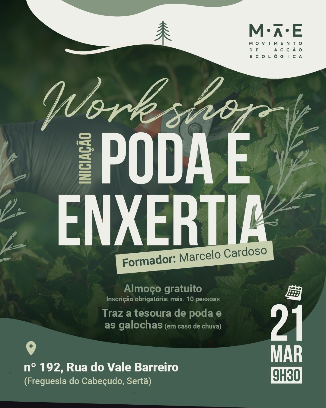 🌳 𝐖𝐨𝐫𝐤𝐬𝐡𝐨𝐩 𝐝𝐞 𝐏𝐨𝐝𝐚 𝐞 𝐄𝐧𝐱𝐞𝐫𝐭𝐢𝐚 | 𝟐𝟏 𝐝𝐞 𝐦𝐚𝐫𝐜̧𝐨

Vamos celebrar o 𝑫𝒊𝒂 𝑴𝒖𝒏𝒅𝒊𝒂𝒍 𝒅𝒂 𝑨́𝒓𝒗𝒐𝒓𝒆 com um workshop de poda e enxertia?

No dia 21 de março, próximo sábado, começamos logo pela manhã, no Cabeçudo, Sertã.

✂️ Traz a tua tesoura e junta-te a nós!

⚠️ O número de participantes é limitado. Inscreve-te o quanto antes!
As inscrições podem ser efetuadas por mensagem privada ou para o nosso e-mail.

Agradecemos, uma vez mais, o apoio do @sertamunicipio à realização desta atividade.

#movimentoacçãoecológica #diamundialdaárvore #poda #enxertia