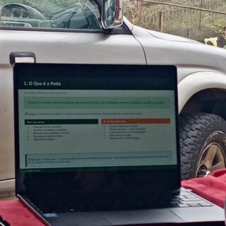 🌳 Há poucas formas melhores de assinalar o 𝐃𝐢𝐚 𝐌𝐮𝐧𝐝𝐢𝐚𝐥 𝐝𝐚 𝐀́𝐫𝐯𝐨𝐫𝐞 do que passar uma manhã a aprender como cuidar delas.

O 𝘸𝘰𝘳𝘬𝘴𝘩𝘰𝘱 de sábado foi exatamente isso: um momento partilhado, cheio de curiosidade e de boas perguntas. Quem esteve por lá sabe do que falamos. 😊

✂️ Com muitas dicas úteis, em doses iguais de teoria e prática, saímos todos a saber um pouco mais sobre como tratar bem as nossas árvores.

Venha o próximo evento! 🌿

#movimentoacçãoecológica #poda #árvores #enxertia